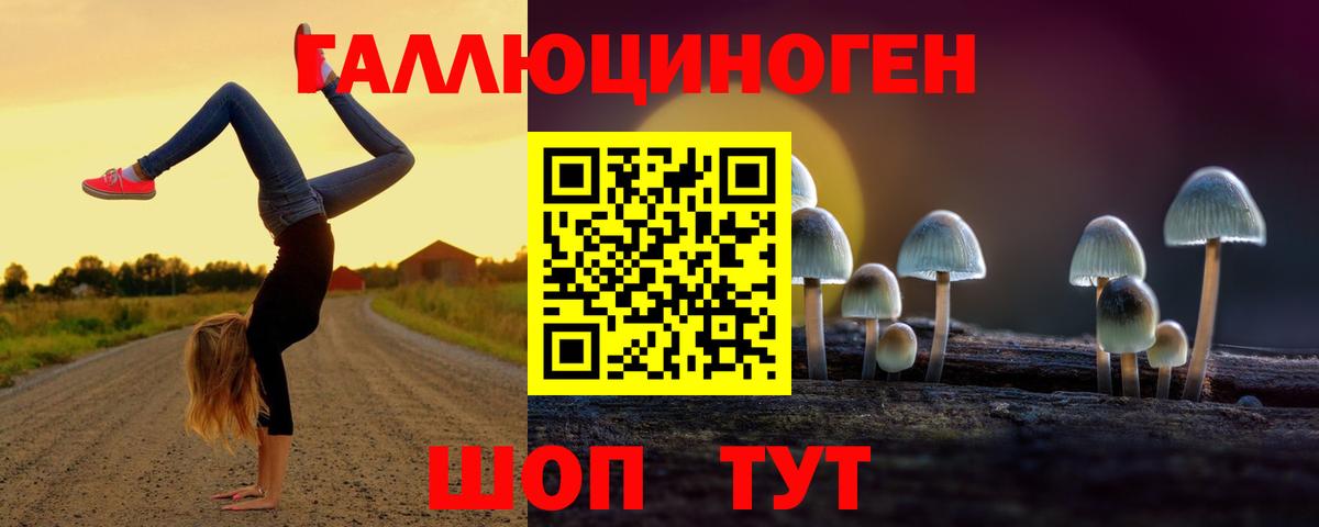 Саянск  Галлюциногенные грибы мицелий  Псилоцибиновые грибы Magic Shrooms  Вход с VPN 